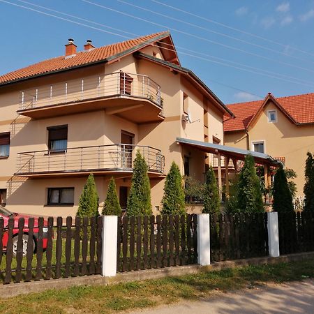 Apartmani Tvins Soko Banja Exteriér fotografie