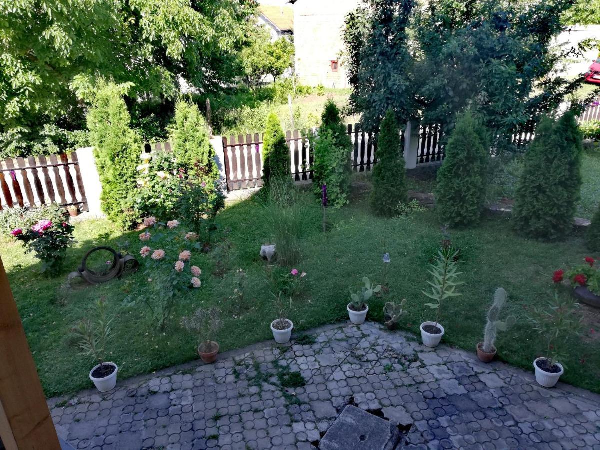 Apartmani Tvins Soko Banja Exteriér fotografie