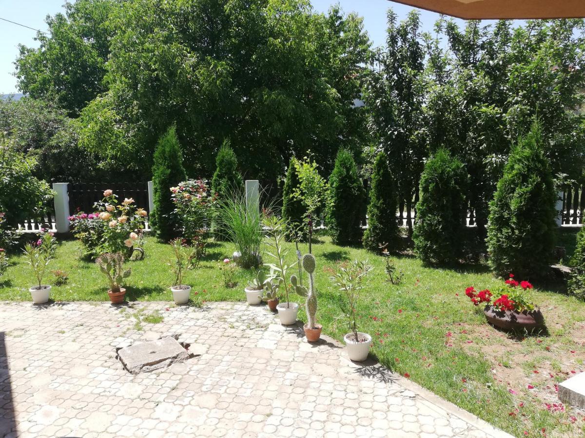 Apartmani Tvins Soko Banja Exteriér fotografie