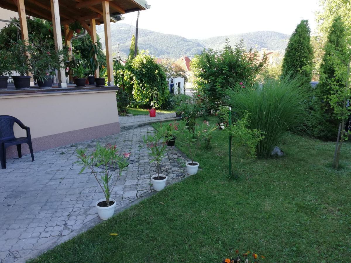 Apartmani Tvins Soko Banja Exteriér fotografie