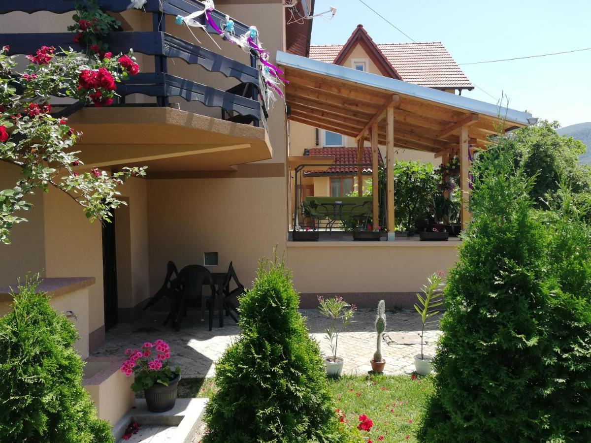 Apartmani Tvins Soko Banja Exteriér fotografie