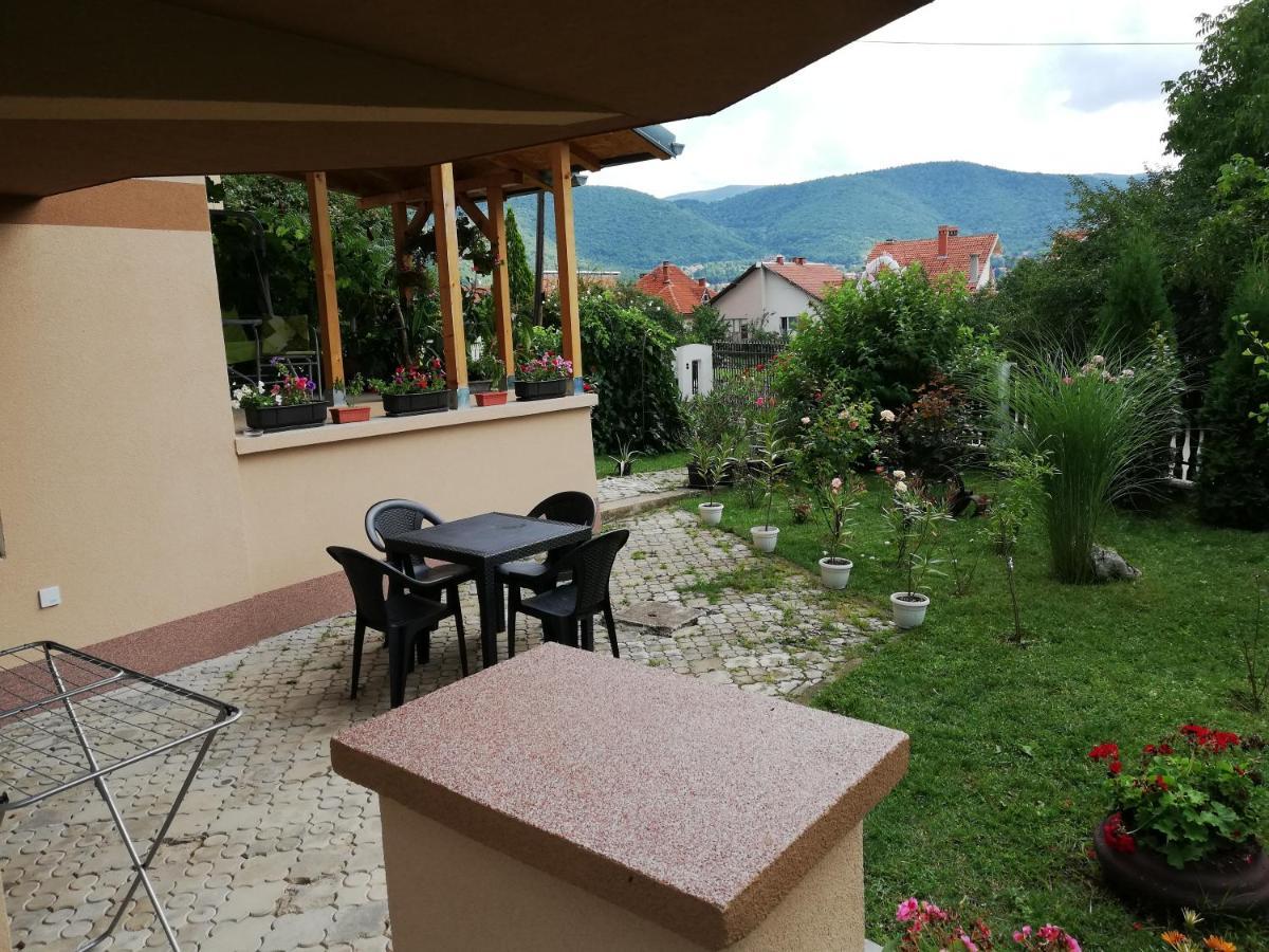 Apartmani Tvins Soko Banja Exteriér fotografie