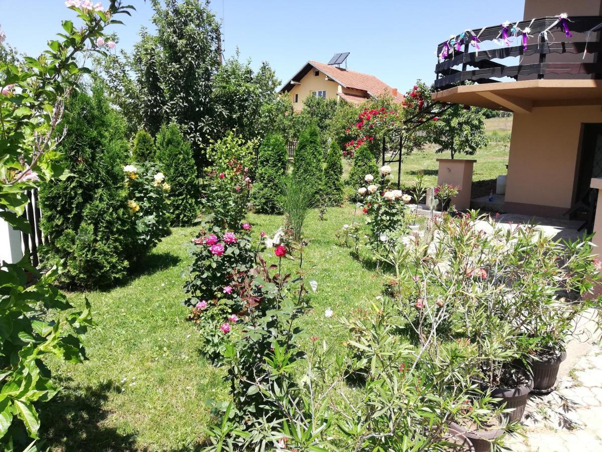 Apartmani Tvins Soko Banja Exteriér fotografie