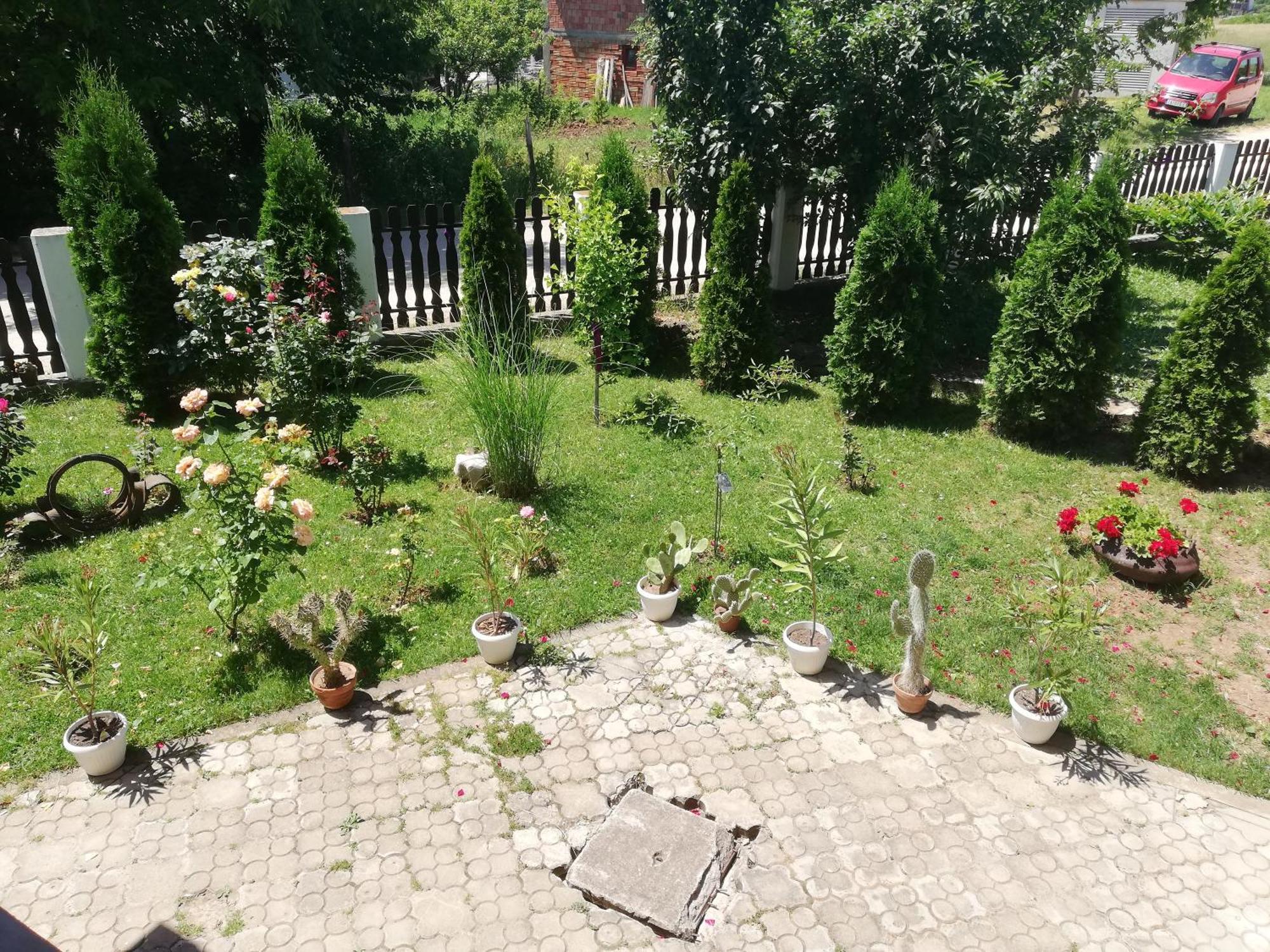 Apartmani Tvins Soko Banja Exteriér fotografie